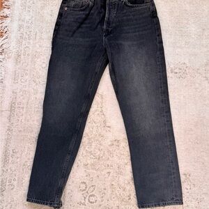 AGOLDE RILEY HIGH RISE STRAIGHT CROP